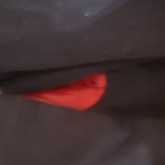 NWT size L Navy blue and red Gap Jacket - Picture 4 of 4